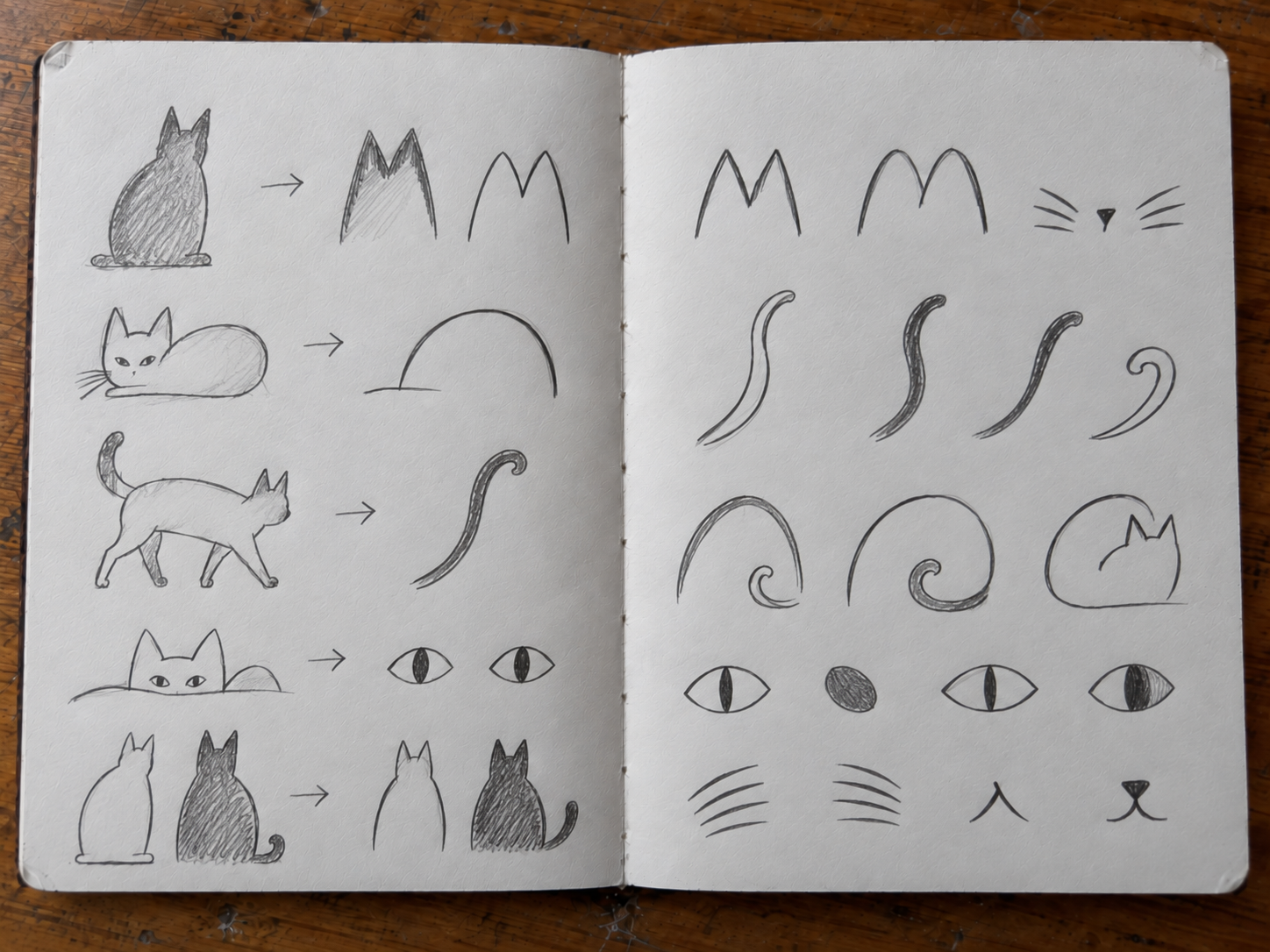 Open sketchbook showing cat forms reduced into ears, back curves, tails, eyes, whiskers and other extracted marks.