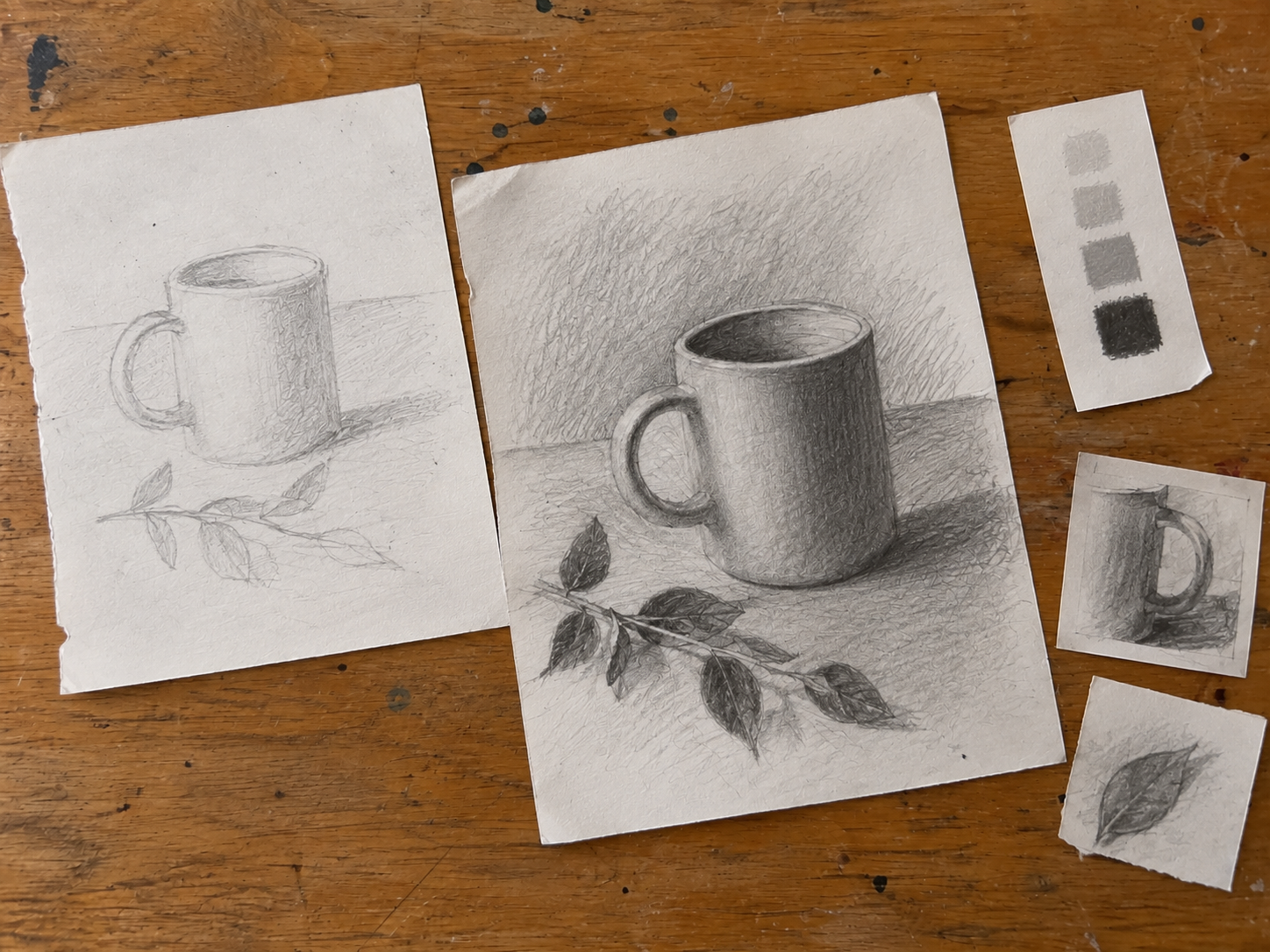 Several graphite studies of the same mug and branch subject laid on a wooden table: a lighter earlier version, a more developed darker version, smaller composition and tone tests, and tonal swatches.