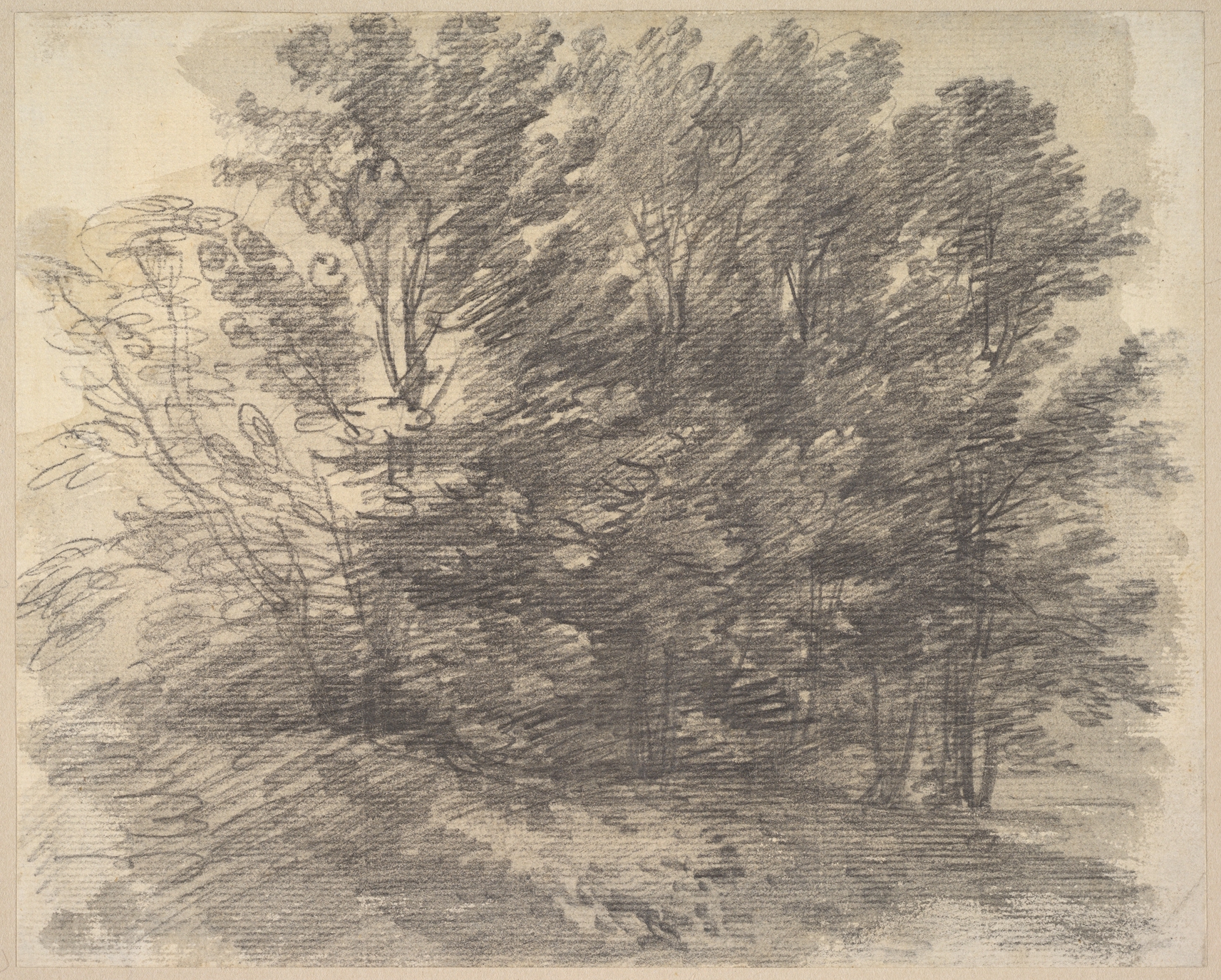Thomas Gainsborough, A Clump of Trees, ca. 1757. Graphite, brush and gray wash: a dense group of trees drawn with layered light and dark strokes.